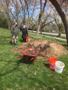 Volunteers mulch trees in Lovelace Park Evanston IL