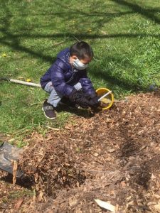 Volunteers mulch trees Lovelace Park Evanston IL